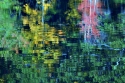 Ripples (thumbnail)