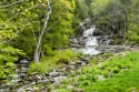 Runoff (thumbnail)