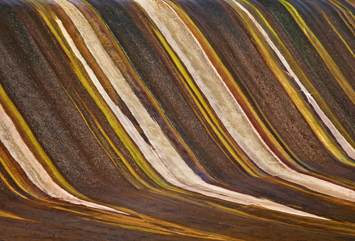 Stained (large view)