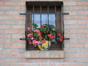 Photography--Color-FigurativeWindow Box Flowers