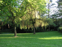 Photography--Color-NatureNeighborhood Park