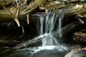 Photography--Color-NatureSplash of Autumn