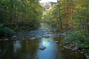 Photography--Color-NatureSmokies Splendor