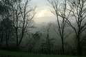 Photography--Color-LandscapeThough the Veil