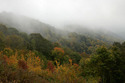 Photography--Color-LandscapeAutumn's Palette