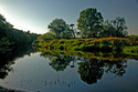 Photography--Color-LandscapeNature's Reflections