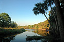 Photography--Color-NatureMyakka River
