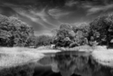 Photography--Black & White-LandscapeGuilford Pond