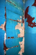 Photography-Wall 5