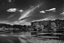 Photography--Black & White-LandscapeLake Whitney, Hamden