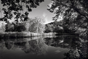 Photography--Black & White-LandscapeEast Rock Park, New Haven