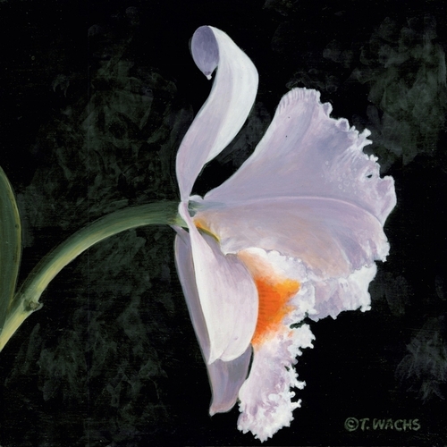 Painting-Floral-