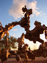 Sculpture--BronzePlexus