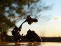 Sculpture-BRONZE SCULPTURE