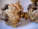 Sculpture--BronzeBronze & Travertine 