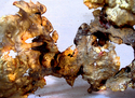 Sculpture--BronzeBronze & Travertine 