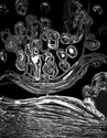 Drawing--Ink-LandscapeTree of Life