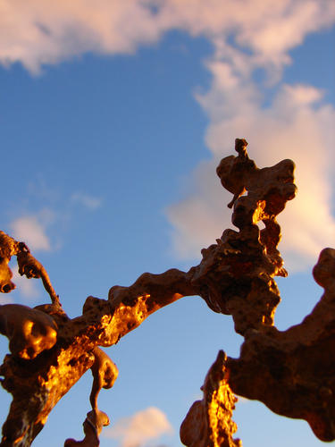 Sculpture-Detail - Plexus