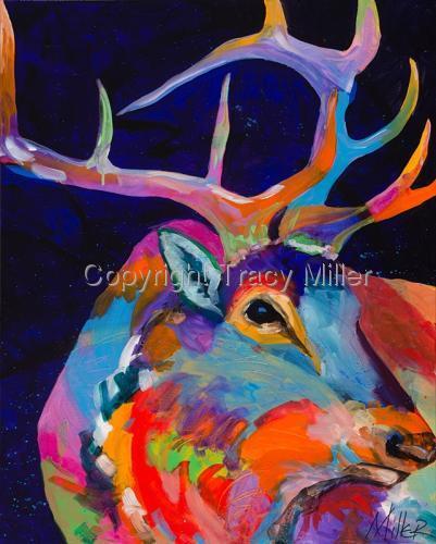 Other Wildlife