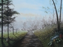 Angie%27s%20Path (thumbnail)