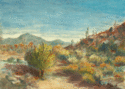 Sonoran%20Wash (thumbnail)