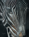Horse%20Of%20A%20Different%20Stripe%20%28a%29 (thumbnail)