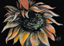 Floral%20Sunshine (thumbnail)