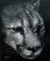 Cougar%27s%20Contemplation (thumbnail)
