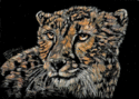 Leopard%20Eyes%20Watch (thumbnail)