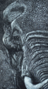 %22...As%20An%20Elephant%27s%20Eye%22 (thumbnail)