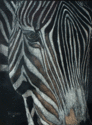 Horse%20Of%20A%20Different%20Stripe (thumbnail)