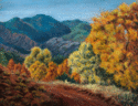 October%20Road%20Into%20The%20Huachucas (thumbnail)