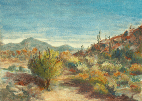 Sonoran%20Wash (large view)