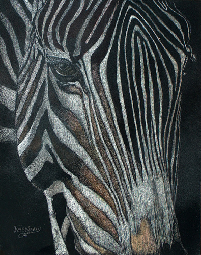 Horse%20Of%20A%20Different%20Stripe%20%28a%29 (large view)