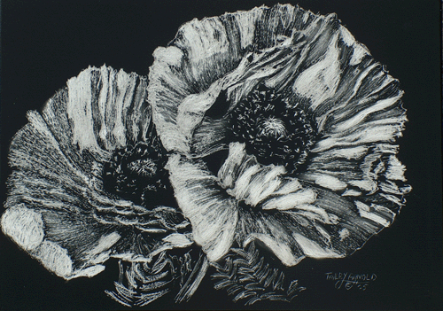 Two%20White%20Poppies (large view)