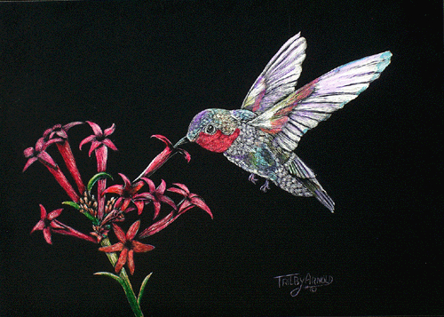 Ruby%2C%20A%20Flying%20Jewel (large view)