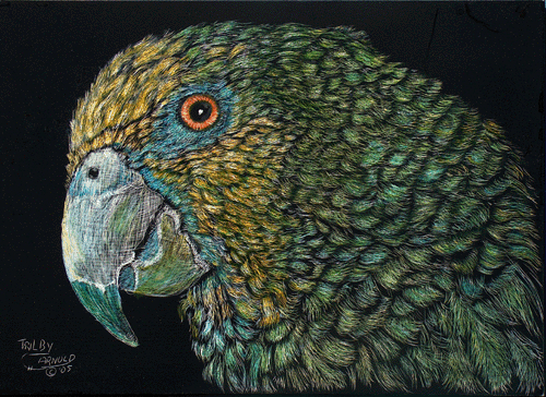 Tropical%20Feathers (large view)