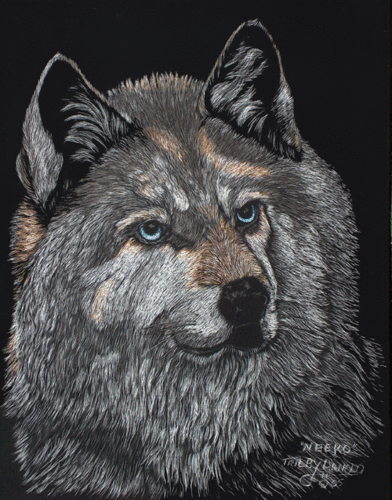 %22Neeko%22%20Siberian%20Husky (large view)