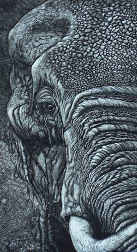 %22...As%20An%20Elephant%27s%20Eye%22 (large view)