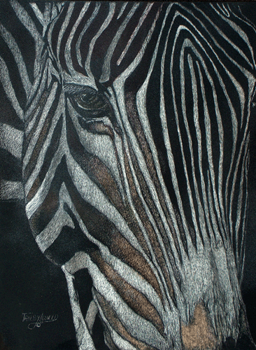 Horse%20Of%20A%20Different%20Stripe (large view)