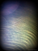 Ripples