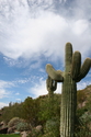 Southwest Icon
