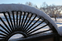 Snow Burst