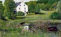 Flower%20Pond (thumbnail)