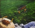 %22Come%20On%20In%2C%20The%20Water%27s%20Fine%22 (thumbnail)