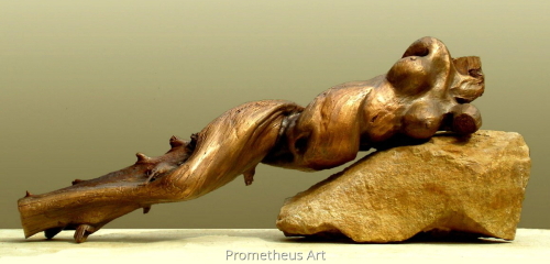Thuja Thuja (thumbnail)
