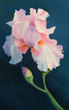 flower, iris,watercolor,floral,bill updegraff,  - Floral Painting