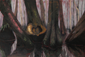 original oil painting by Kristina B. Hall of the southeastern swampland landscape. (thumbnail)