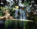 Anderson%20Japanese%20Gardens%2C%20Small%20Falls%2C%20Rockford%2C%20IL (thumbnail)