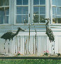 HERONS%20AND%20CATTAILS (thumbnail)